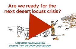 Locust video icon