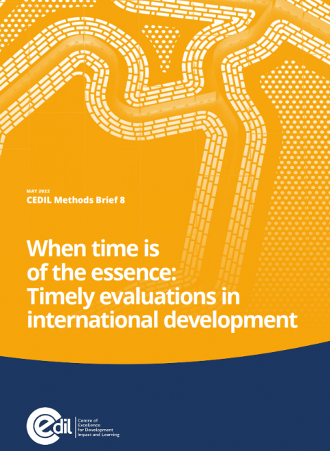 When time is of the essence: Timely evaluations in international development