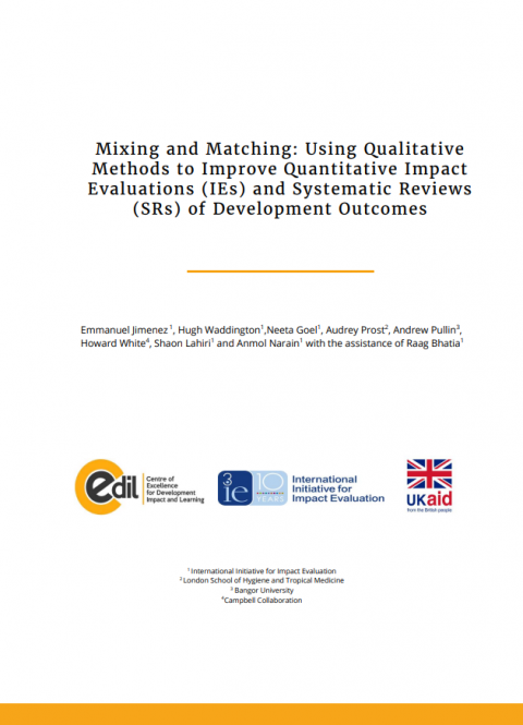 Mixing and Matching: Using Qualitative Methods to Improve Quantitative Impact Evaluations (IEs) and Systematic Reviews (SRs) of Development Outcomes