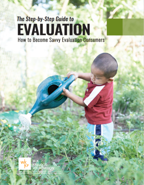 The Step-by-Step Guide to evaluation: How to Become Savvy Evaluation Consumers