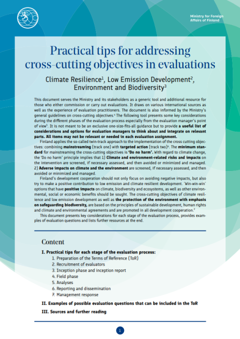 Practical tips for addressing cross-cutting objectives in evaluations