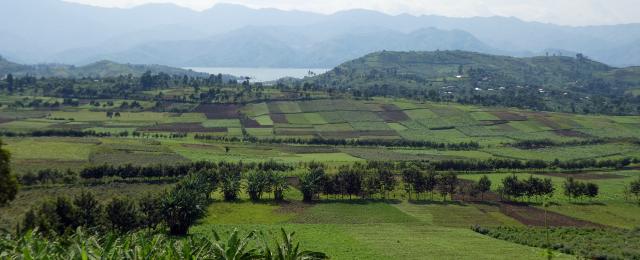 landscape DRC 