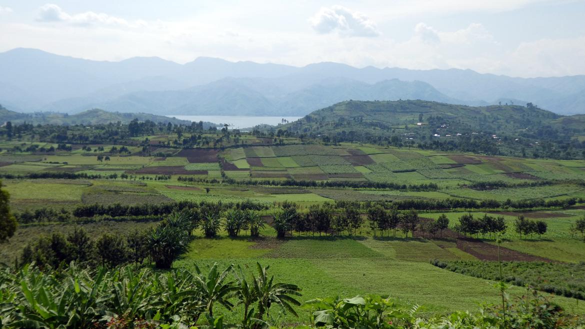 landscape DRC 